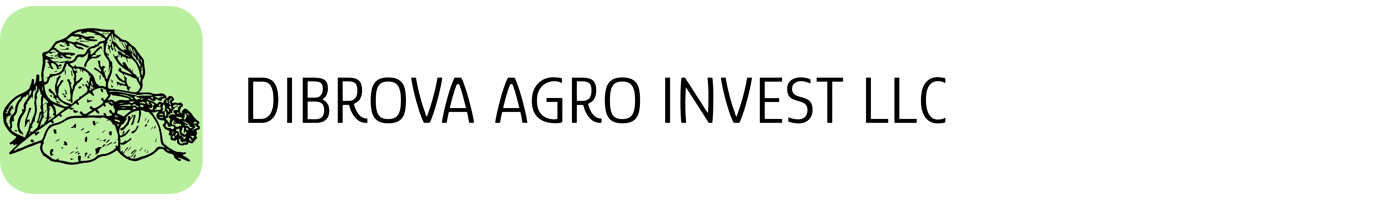 Broyn GmbH Logo